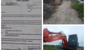 Diduga telah merusak hutan mangrove kepngluhan Pulau jemur Diduga telah merusak hutan mangrove PJ penghulu Pulau jemur Melaporkan secara Resmi di Polsek Panipahan