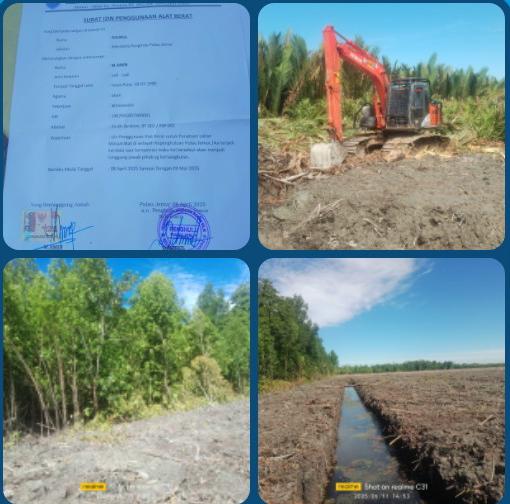 Rohil,Di ke penghuluan Pulau jemur kecamatan pasir limau kapas,Diduga hutan mangrove pekerjaan ilegal pekerjaan ilegal atau Tampa izin