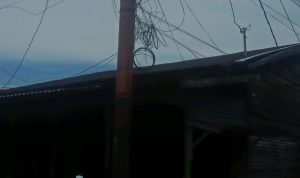 IMG-20250907-WA0005