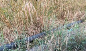 IMG-20260222-WA0013