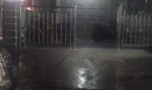 IMG-20260401-WA0087
